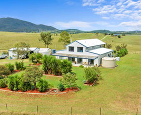 Rural / Farming commercial property for sale at 229 Wells Gully Road Mccullys Gap NSW 2333