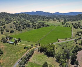 Rural / Farming commercial property sold at 1511 Gundy Road Scone NSW 2337