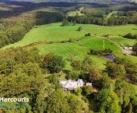 Rural / Farming commercial property for sale at ferny creek rd Wootton NSW 2423