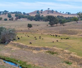 Rural / Farming commercial property sold at 595 Ancona Road Ancona VIC 3715