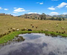 Rural / Farming commercial property for sale at Bonnie Doon VIC 3720
