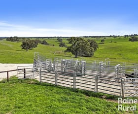 Rural / Farming commercial property sold at 166 Stirling Hill Road Gemmells SA 5255