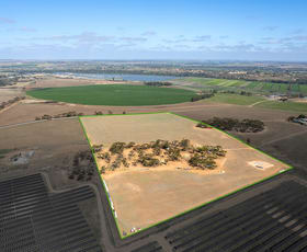 Rural / Farming commercial property sold at 105 Piggery Road Mannum SA 5238