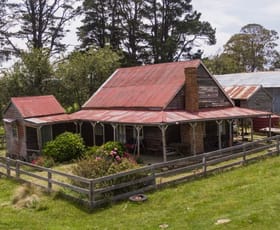 Rural / Farming commercial property sold at "Thoko" 995 Newline Road Glen Allen NSW 2631