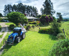Rural / Farming commercial property for sale at Dorrigo NSW 2453