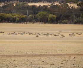 Rural / Farming commercial property for sale at 191 Great Southern Highway Woodanilling WA 6316