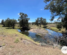 Rural / Farming commercial property sold at Lot 10, 3140 Golden Highway Gungal NSW 2333