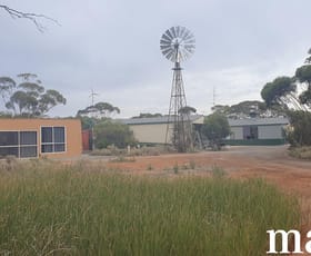 Rural / Farming commercial property sold at 216 Diagonal Road Annadale SA 5356