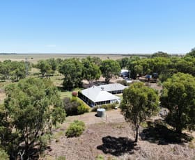 Rural / Farming commercial property sold at Merungle Road Hillston NSW 2675