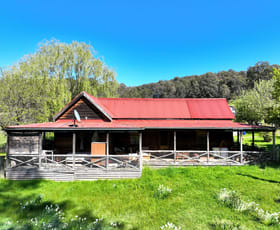 Rural / Farming commercial property sold at 1923 Bonang Road Delegate River VIC 3888