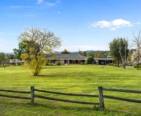 Rural / Farming commercial property for sale at 348 Bournes Lane, Tamworth Hallsville NSW 2340