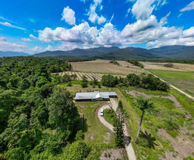 Rural / Farming commercial property for sale at 278 Tea Plantation Road Jarra Creek QLD 4854