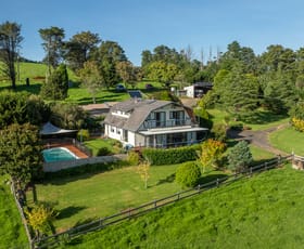 Rural / Farming commercial property for sale at 245 Deer Vale Road Dorrigo NSW 2453