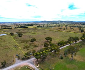 Rural / Farming commercial property for sale at 99 Shaws Creek Road Goulburn NSW 2580