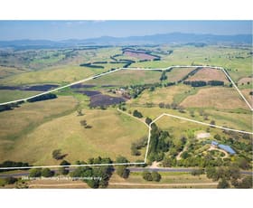 Rural / Farming commercial property for sale at 805 Candelo-Bega Road Kameruka NSW 2550