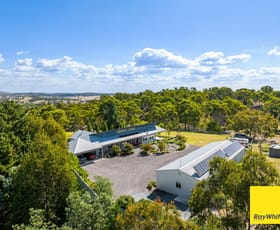 Rural / Farming commercial property for sale at 455 Hadlow Drive Lake George NSW 2581