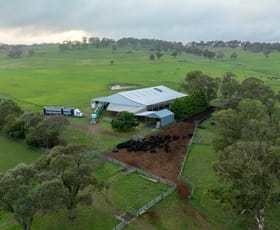 Rural / Farming commercial property for sale at 353 Glenshiel Road Llangothlin NSW 2365
