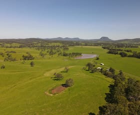 Rural / Farming commercial property for sale at 336 Grahams Creek Road Woodenbong NSW 2476