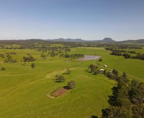 Rural / Farming commercial property sold at 336 Grahams Creek Road Woodenbong NSW 2476