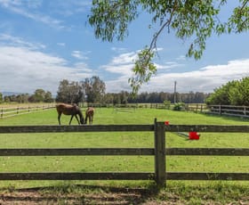 Rural / Farming commercial property for sale at 16 Oakbanks Place Worrigee NSW 2540
