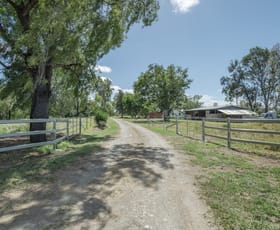 Rural / Farming commercial property sold at 133 Aerodrome Road Thangool QLD 4716