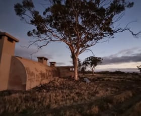 Rural / Farming commercial property for sale at 27068 & 50 Chandler Road Merredin WA 6415