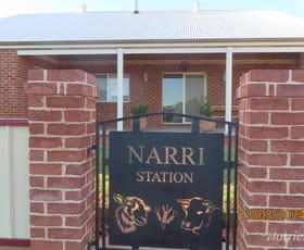 Rural / Farming commercial property for sale at NARRI STATION/34890 Hillston Road Cobar NSW 2835
