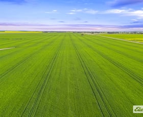 Rural / Farming commercial property for sale at Willaura VIC 3379