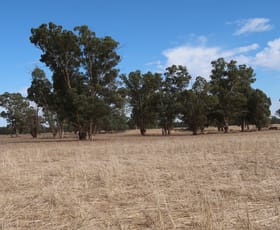 Rural / Farming commercial property sold at 400 Bartletts Road Ganmain NSW 2702