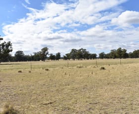 Rural / Farming commercial property for sale at 987 Boorr Hill Road Bruie Plains NSW 2875