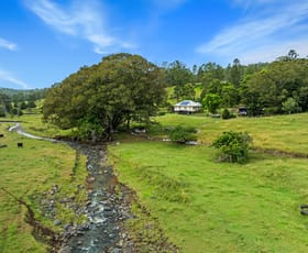 Rural / Farming commercial property for sale at 1152 Theresa Creek road Theresa Creek NSW 2469