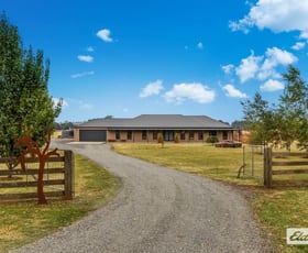 Rural / Farming commercial property for sale at 115 Kyneton-Trentham Road Trentham VIC 3458