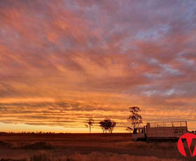 Rural / Farming commercial property sold at 334 Bassett Lane Roma QLD 4455