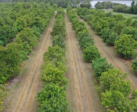 Rural / Farming commercial property sold at North Gregory QLD 4660