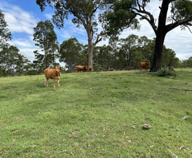 Rural / Farming commercial property sold at 730 Murray Road Iona VIC 3815