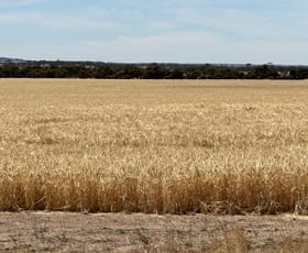 Rural / Farming commercial property for sale at 13181 Rabbit Proof Fence Road Nyabing WA 6341