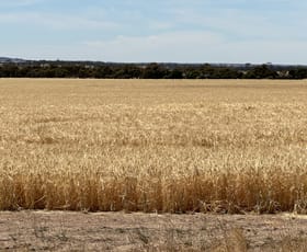 Rural / Farming commercial property sold at 13181 Rabbit Proof Fence Road Nyabing WA 6341