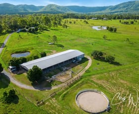 Rural / Farming commercial property for sale at 45 Phillips Road Cedarton QLD 4514
