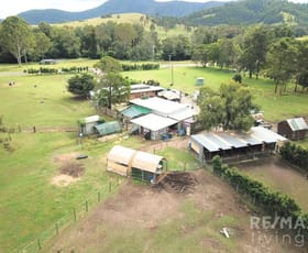 Rural / Farming commercial property for sale at 1379 Maleny Kenilworth Road Conondale QLD 4552