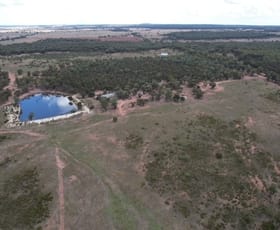 Rural / Farming commercial property for sale at 19/698 Wilga Ridge Road "Emu Plains" Fifield NSW 2875