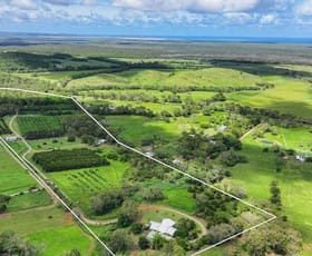 Rural / Farming commercial property for sale at 1341 Farnborough Road Farnborough QLD 4703