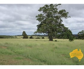 Rural / Farming commercial property for sale at 19 Centofanti Lane Orange NSW 2800