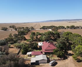 Rural / Farming commercial property sold at 377 Milcowie Rd Nurom SA 5523