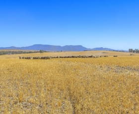 Rural / Farming commercial property sold at Burrumbeep Road Willaura North VIC 3379