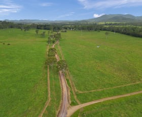 Rural / Farming commercial property for sale at 1697 Koumala-Bolingbroke Road Koumala QLD 4738