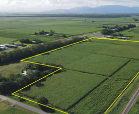 Rural / Farming commercial property for sale at 2/ Scovazzis Road Toobanna QLD 4850