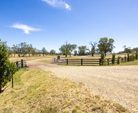 Rural / Farming commercial property for sale at 1648 Lindsays Gap Road Garoo NSW 2340