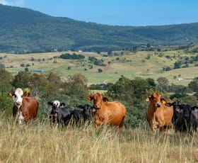 Rural / Farming commercial property for sale at 194 Bunburra Road Bunburra QLD 4310