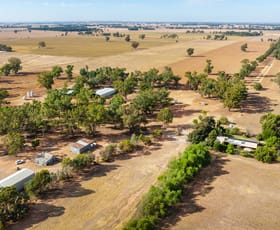 Rural / Farming commercial property for sale at 9517 Riverina Highway Corowa NSW 2646