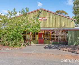 Rural / Farming commercial property for sale at 160 Harbachs Road Dysart TAS 7030